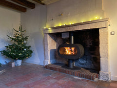 INVICTA Fifty On Pedestal Döküm Odun Sobası